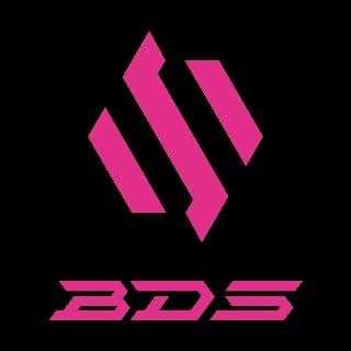 Team BDS