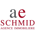 Agence immobilière AE Schmid SA