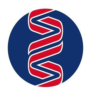 Sonic Suisse SSD