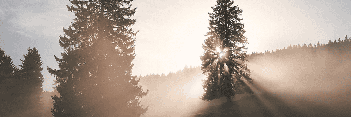 Travailler chez Audemars Piguet