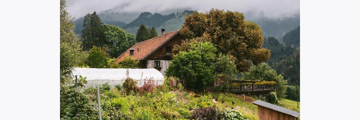 Travailler chez La Pinte des Mossettes