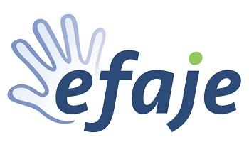 Comptable Offre D Emploi Chez Association Efaje Jobup Ch