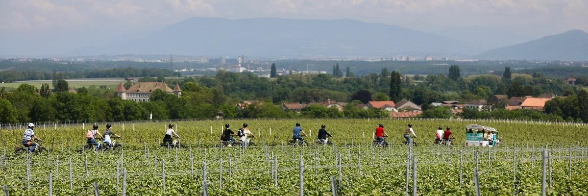 Arbeiten bei WELO (TaxiBike SA)