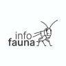 info fauna
