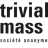 Trivial mass SA
