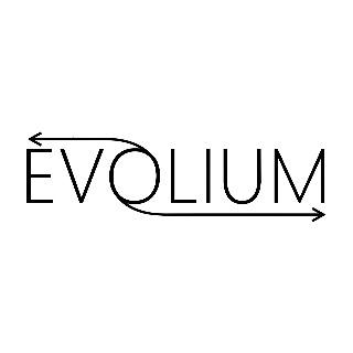 Evolium technologies SA