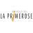 Fondation la Primerose